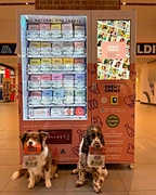 dog treat vending machine for toy